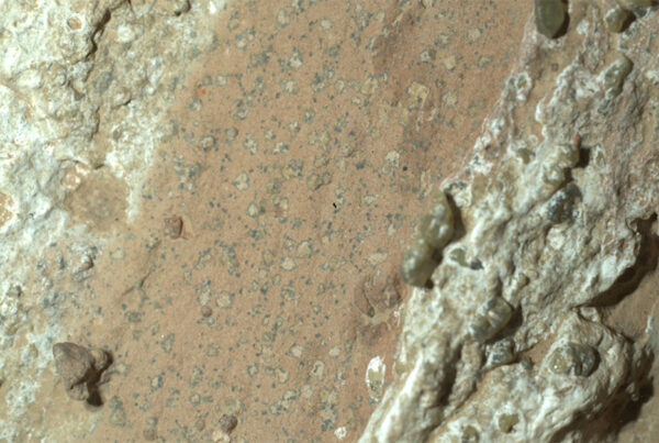 Mars Samples Article Featured