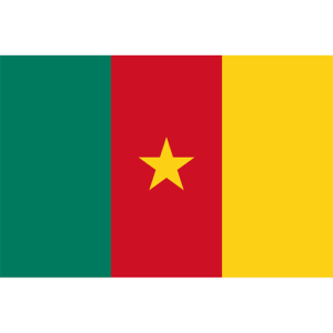 Wikipedia flag Cameroon