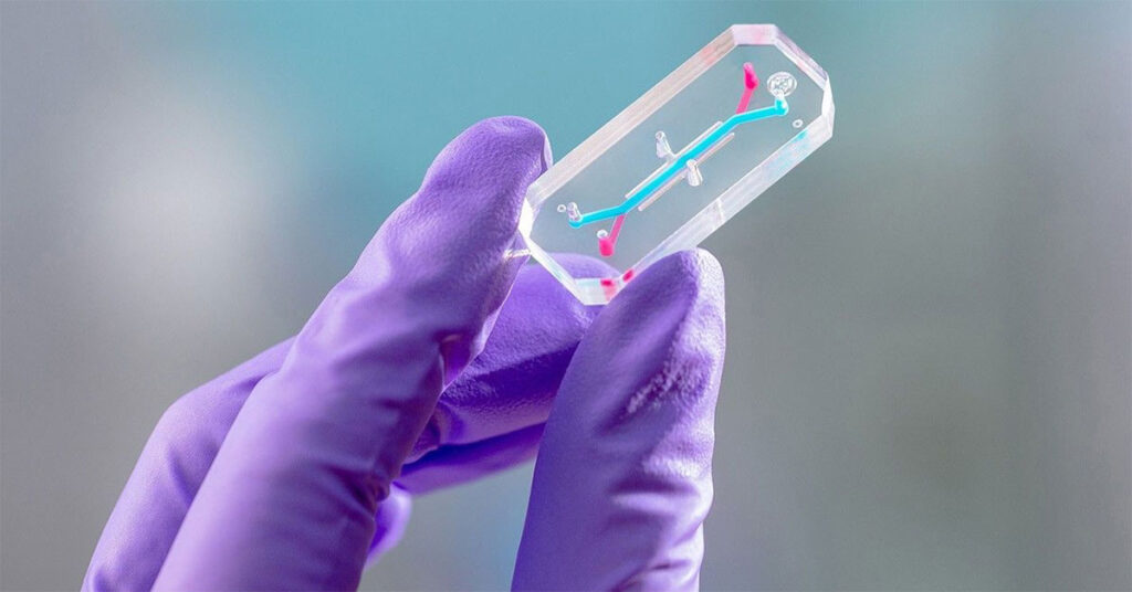 Artemis II Tissue Samples Featured Image