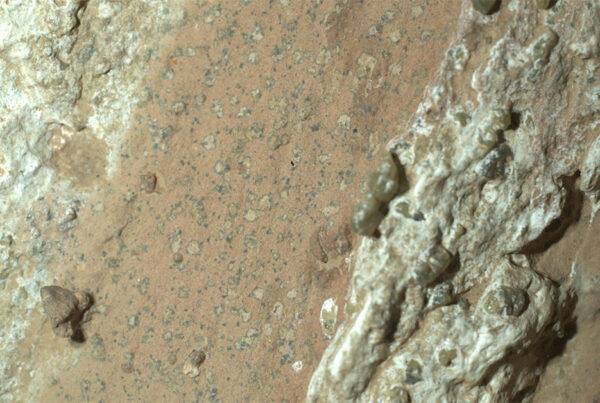 life on Mars Featured Image